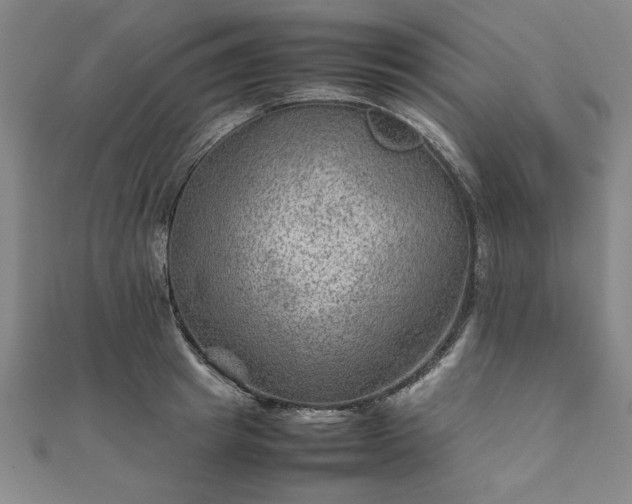 X0000111900849200908031115