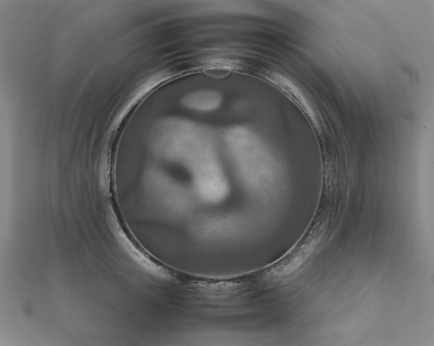 X0000111900851200908031115