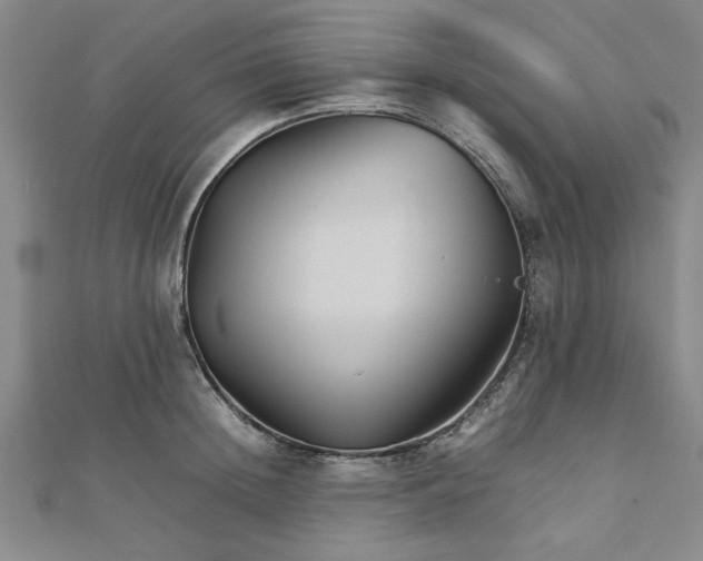 X0000111900852200908031115