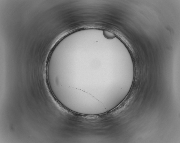 X0000111900853200908031115