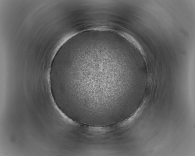 X0000111900855200908031115