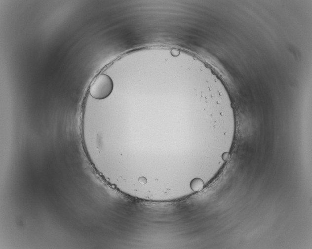 X0000111900856200908031115