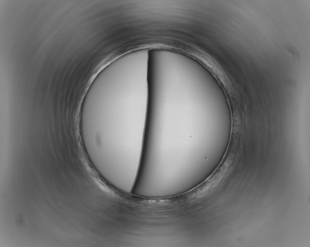 X0000111900858200908031115