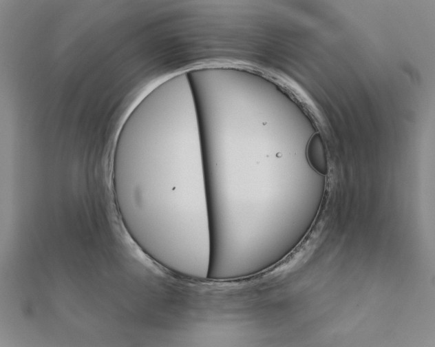 X0000111900860200908031115