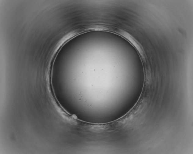 X0000111900861200908031116