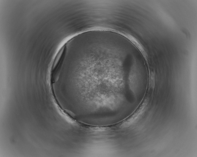 X0000111900862200908031116