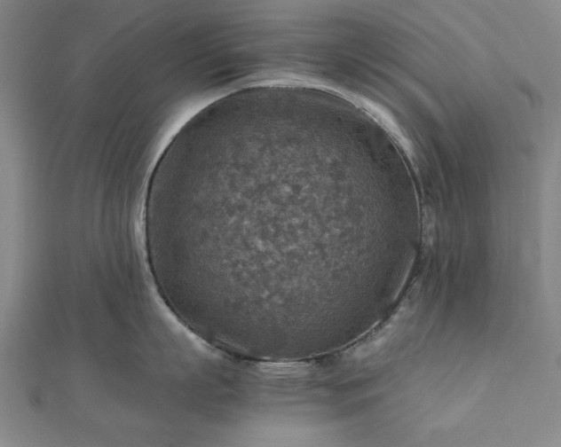 X0000111900863200908031116