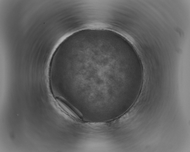 X0000111900864200908031116