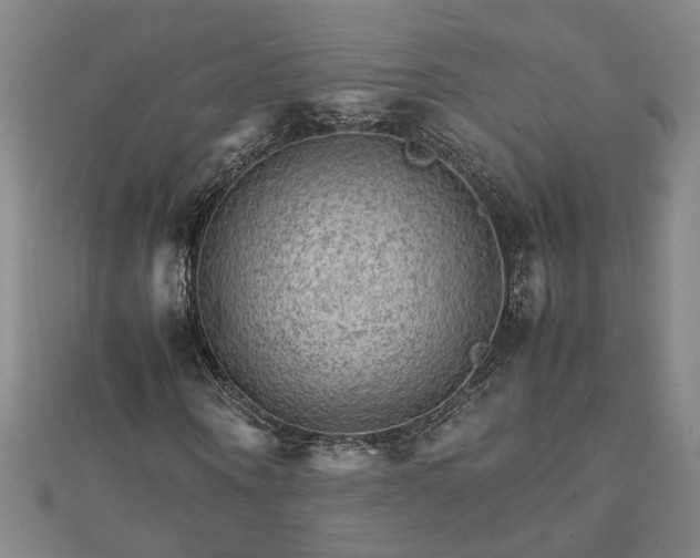 X0000111900866200908031115