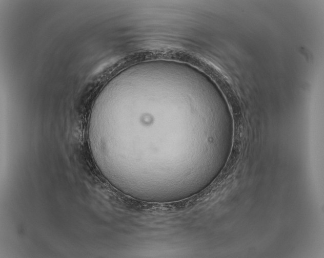 X0000111900869200908031115