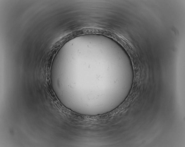 X0000111900870200908031115