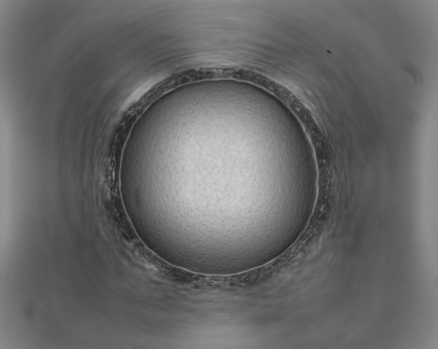 X0000111900871200908031115