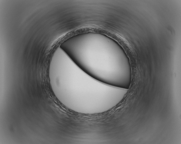 X0000111900872200908031115