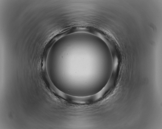 X0000111900873200908031115