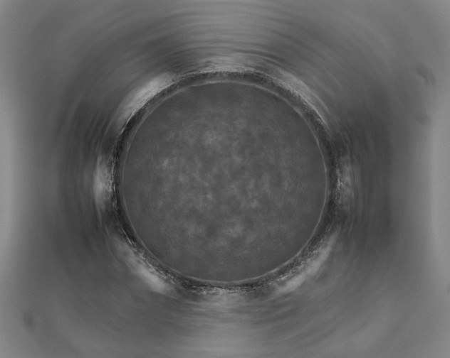 X0000111900874200908031115