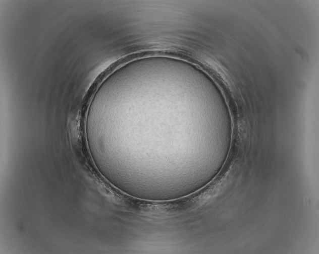 X0000111900875200908031115