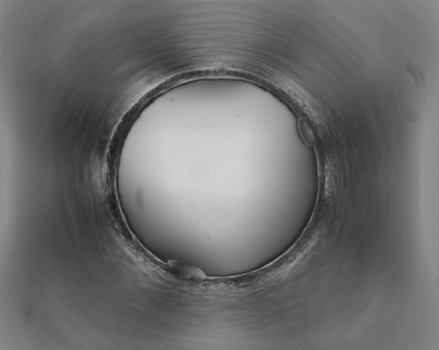 X0000111900876200908031115