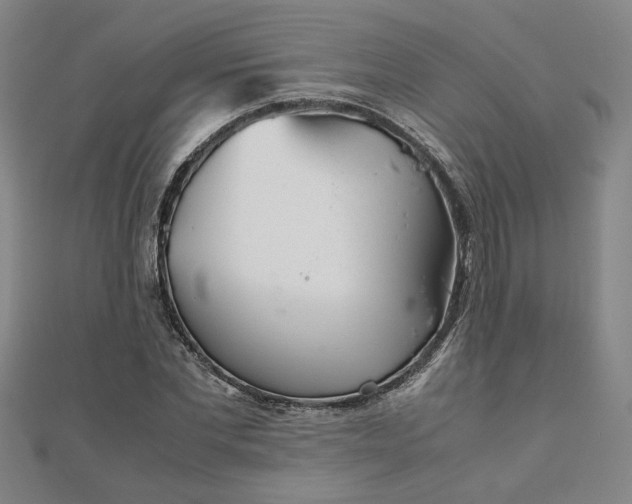 X0000111900877200908031115