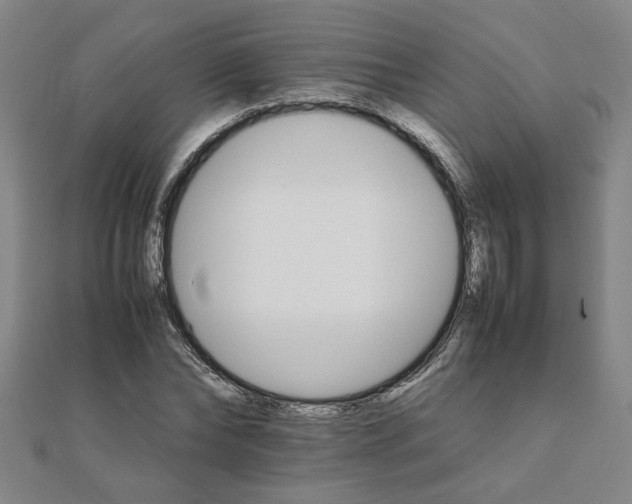 X0000111900878200908031115