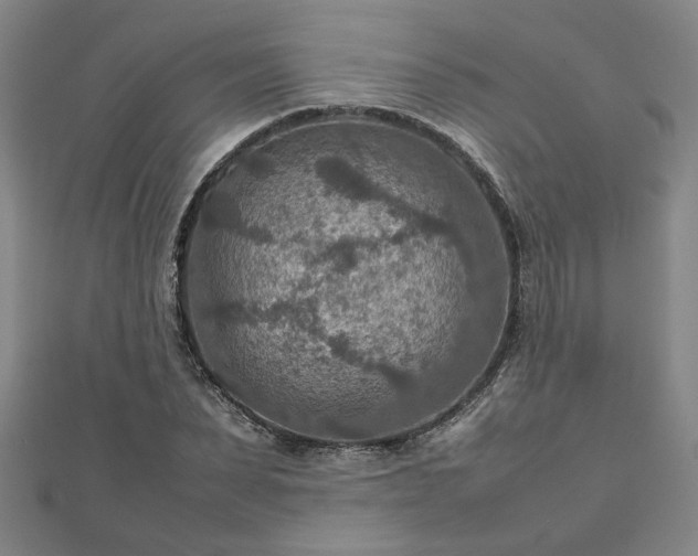 X0000111900879200908031115