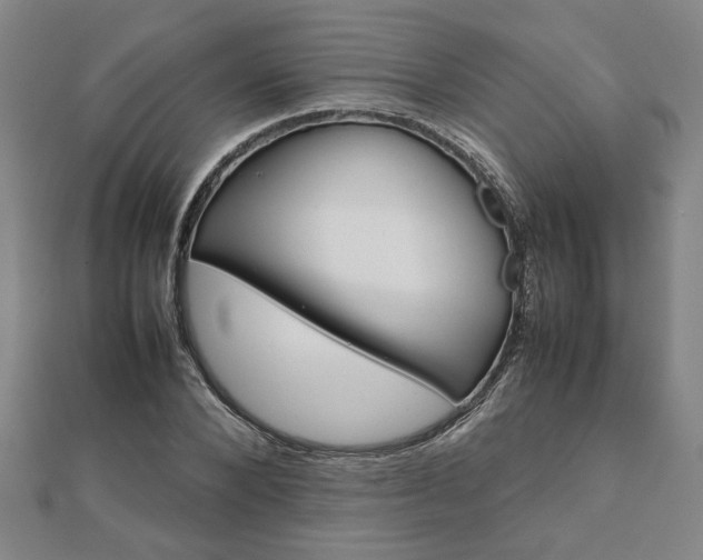 X0000111900880200908031115