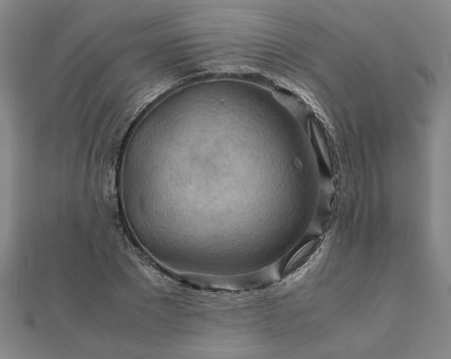 X0000111900881200908031115