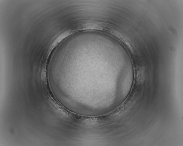 X0000111900882200908031115