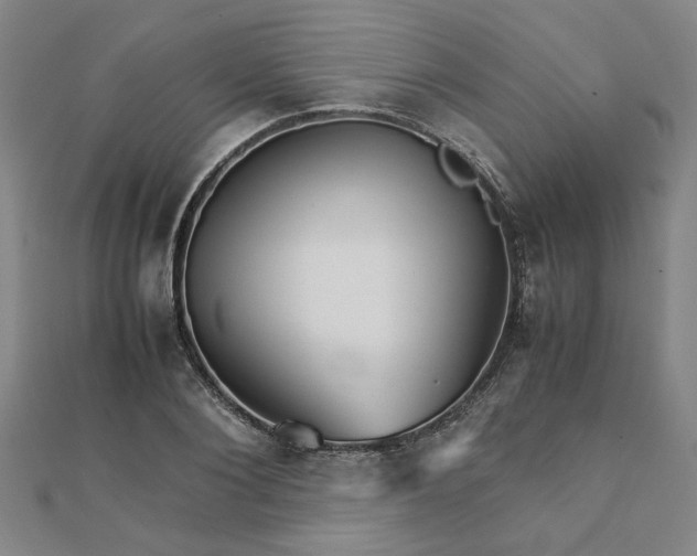 X0000111900884200908031115