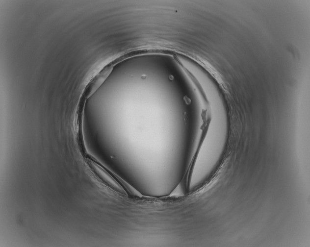 X0000111900885200908031115