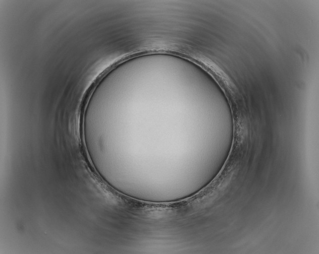 X0000111900886200908031114