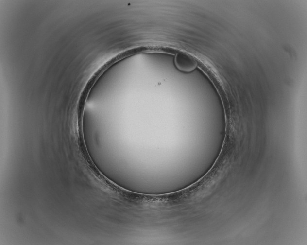 X0000111900887200908031114