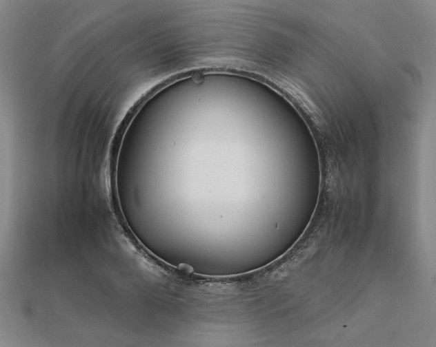 X0000111900888200908031114