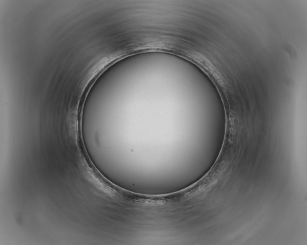 X0000111900890200908031114