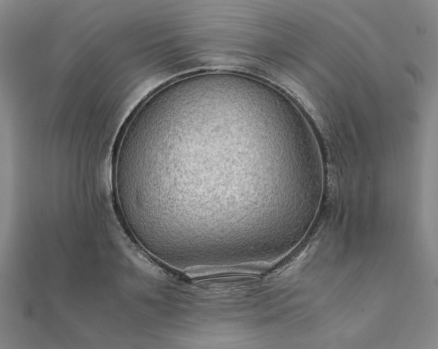 X0000111900891200908031114