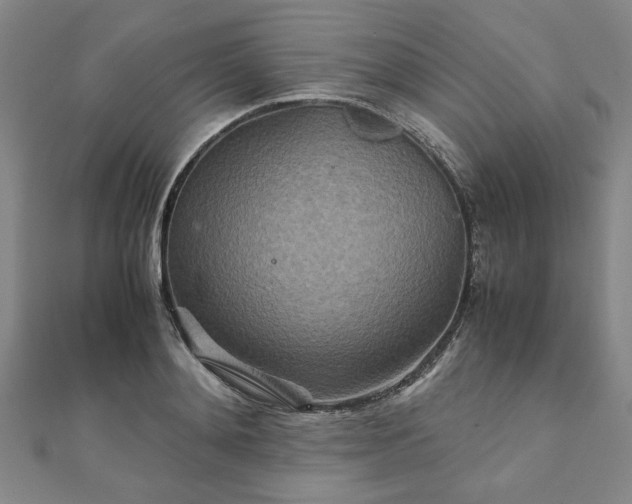 X0000111900892200908031114