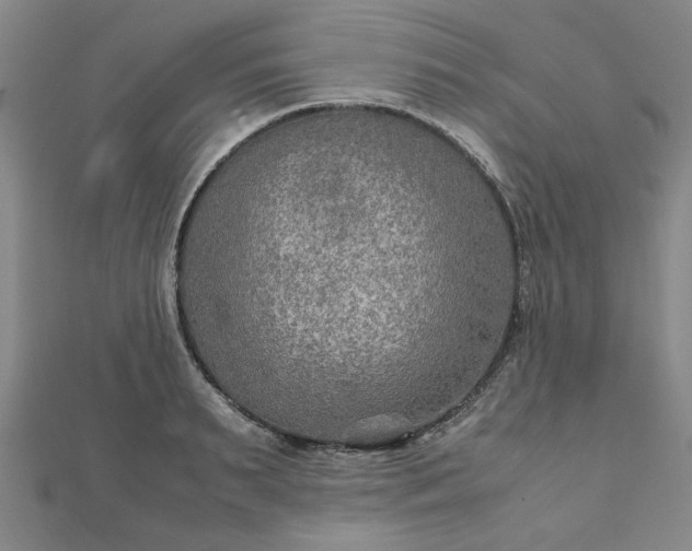 X0000111900895200908031114