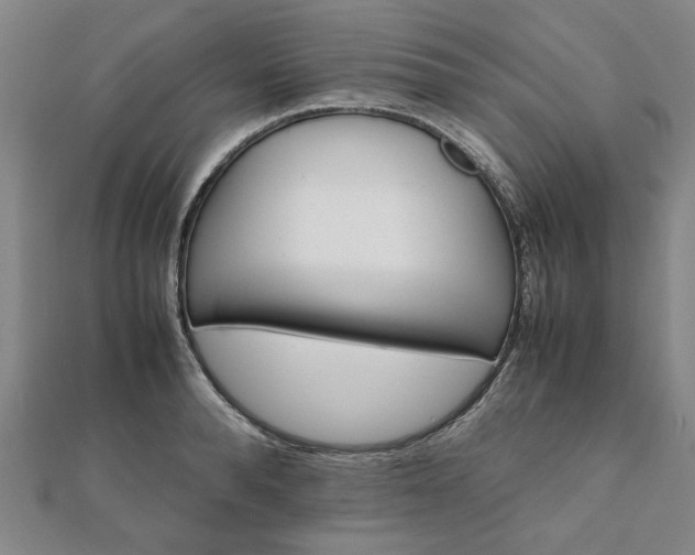 X0000111900896200908031114