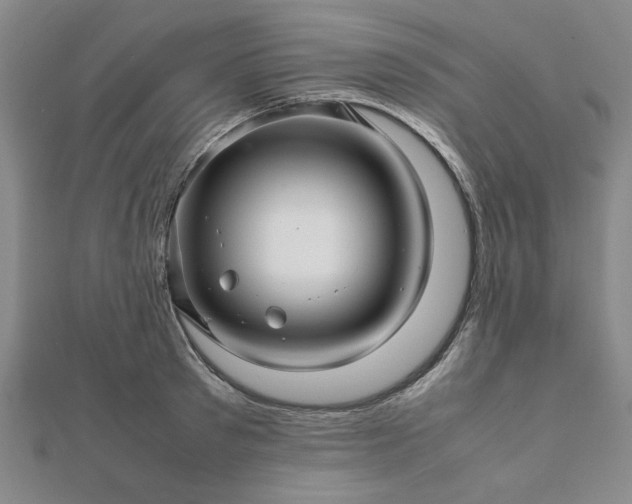 X0000111900897200908031114