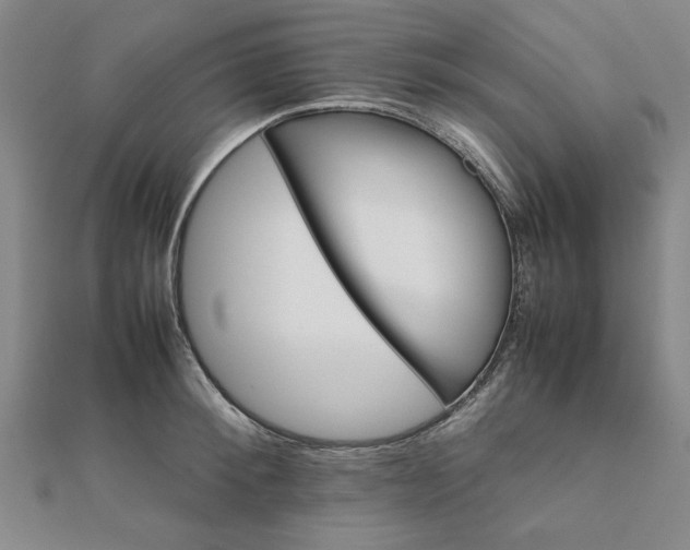 X0000111900900200908031114