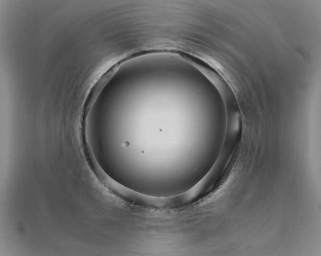 X0000111900901200908031114