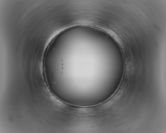 X0000111900904200908031114