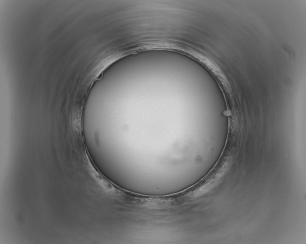 X0000111900905200908031114