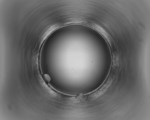 X0000111900906200908031114