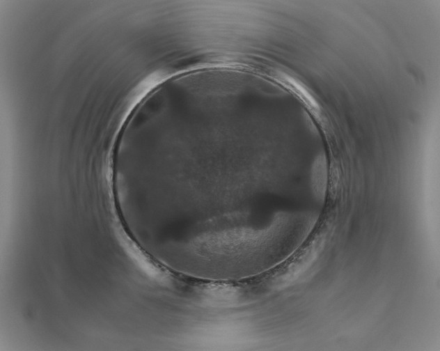 X0000111900907200908031114