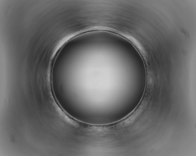 X0000111900910200908031114