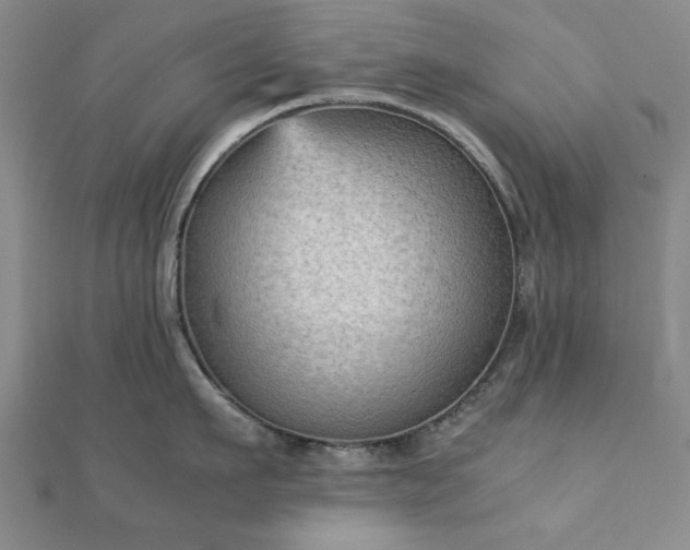 X0000111900911200908031114