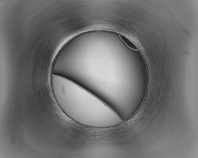 X0000111900912200908031114