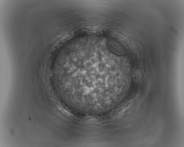 X0000111900913200908031114