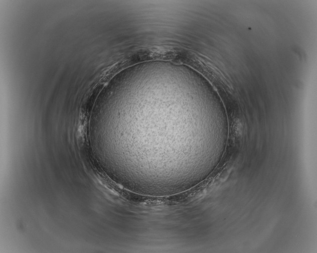 X0000111900914200908031114