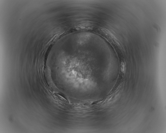 X0000111900915200908031114